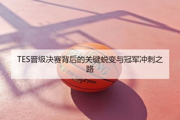 TES晋级决赛背后的关键蜕变与冠军冲刺之路