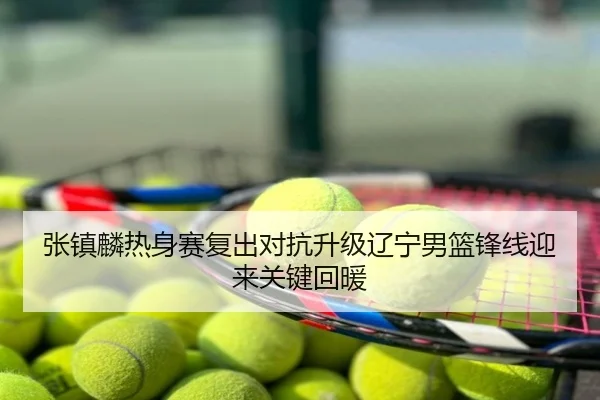 张镇麟热身赛复出对抗升级辽宁男篮锋线迎来关键回暖